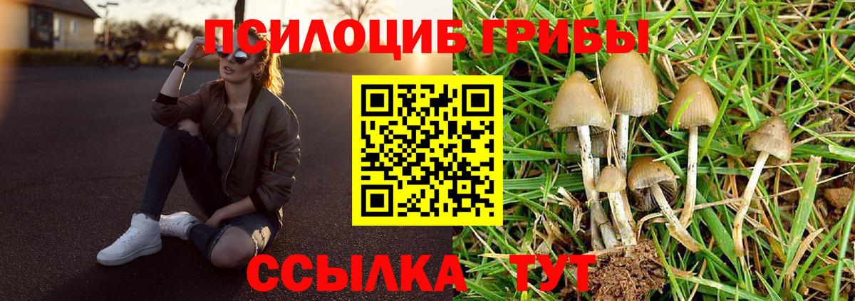 Волжский  Галлюциногенные грибы ЛСД  закладка  Вход с VPN 